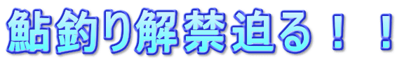 ނ֔II